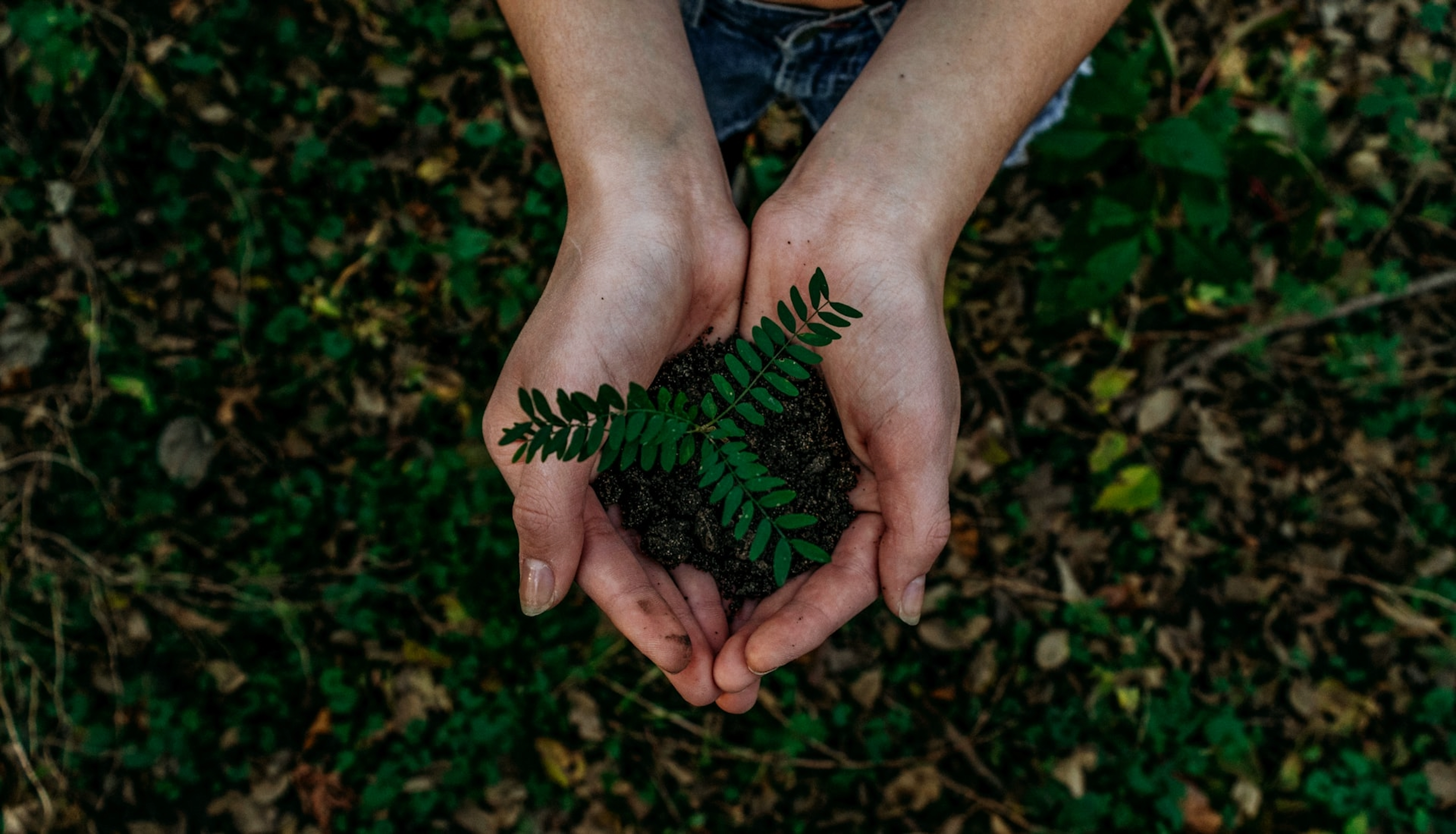 Sustainable and eco-friendly products