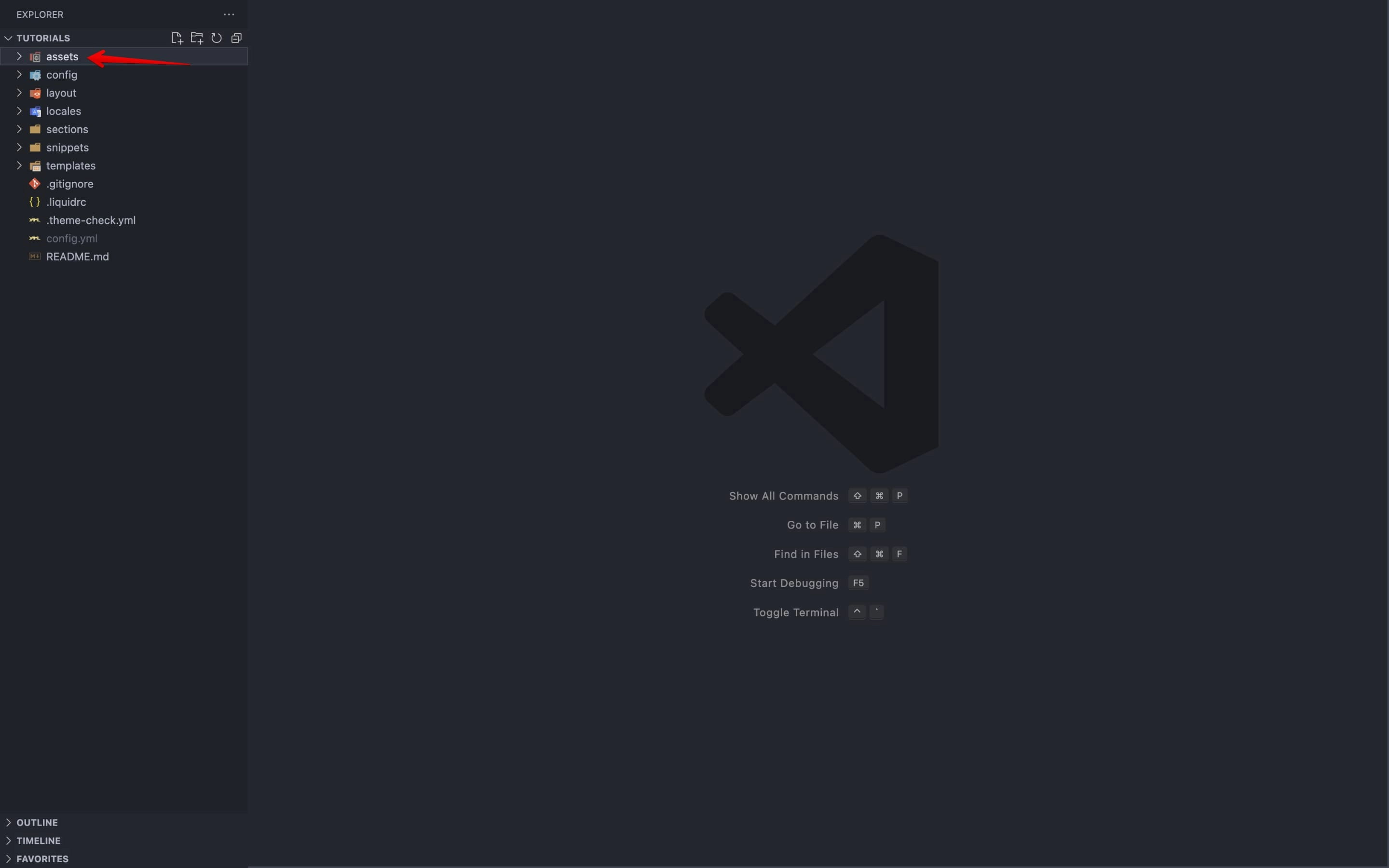Shopify's assets folder in local code editor