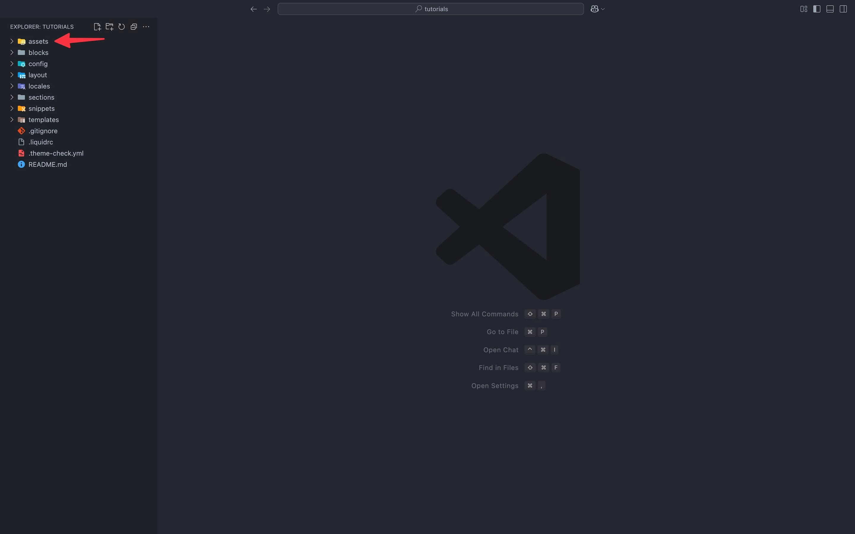 “Assets” folder on a Shopify theme.