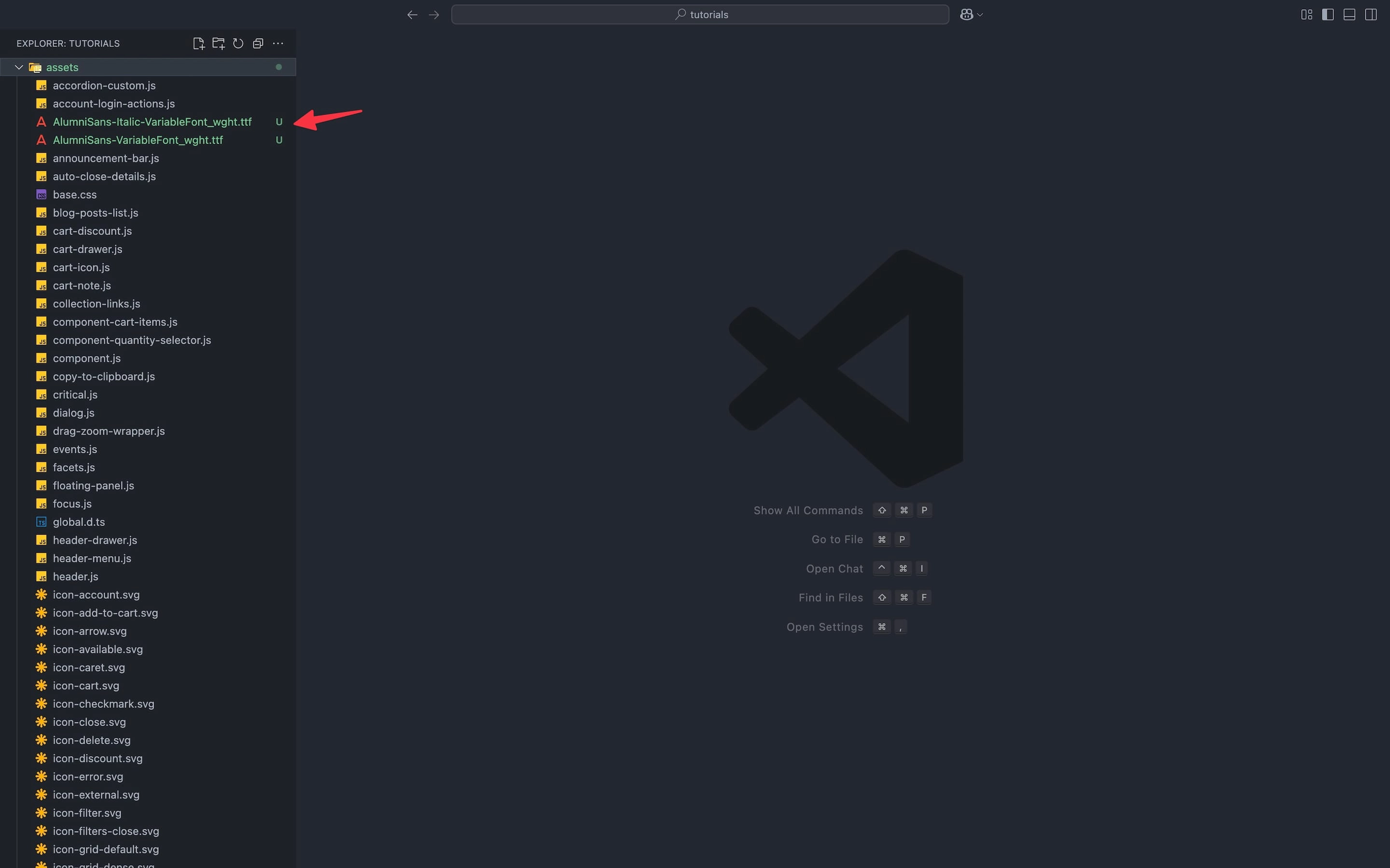 “Alumni Sans” fonts inside the “Assets” folder on a Shopify theme.