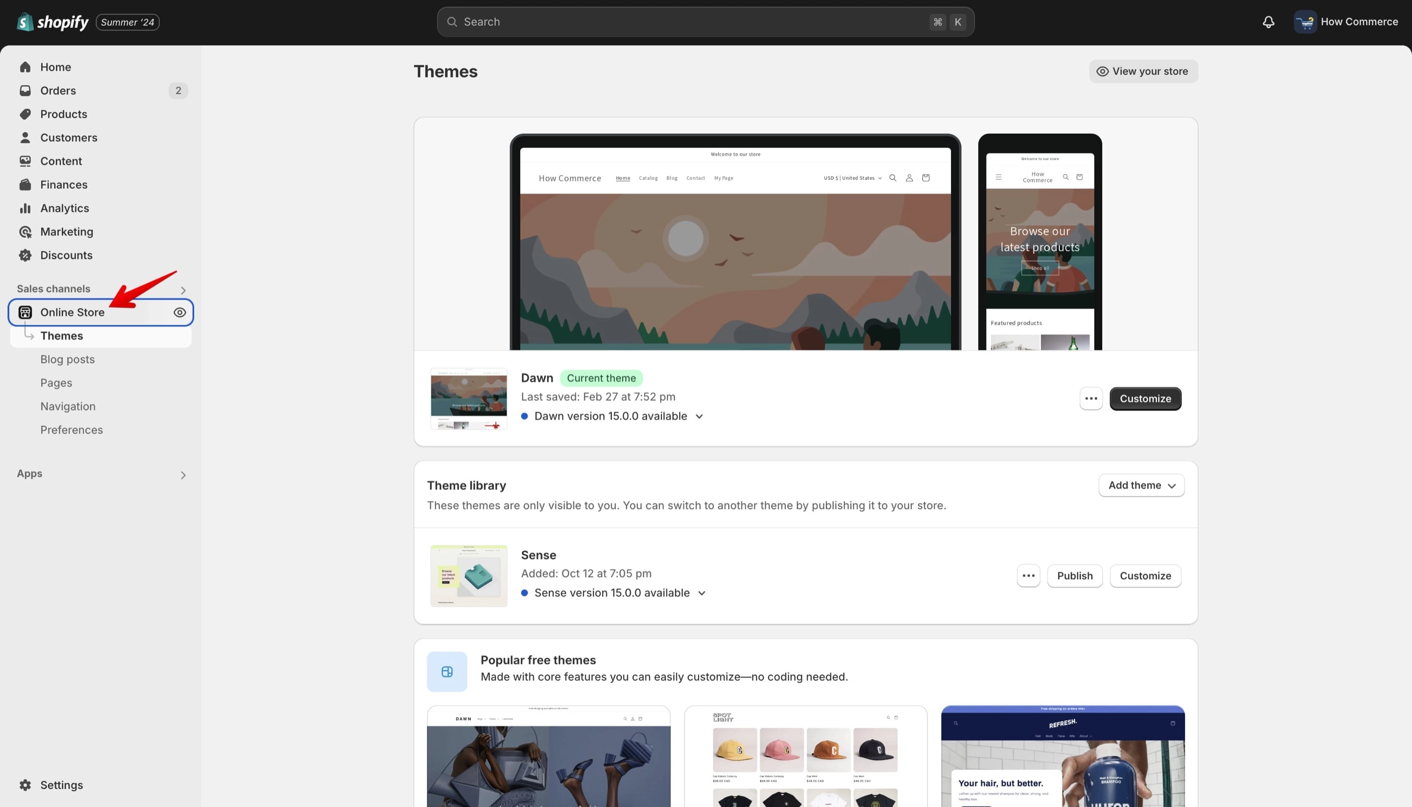 The Shopify Online store channel.