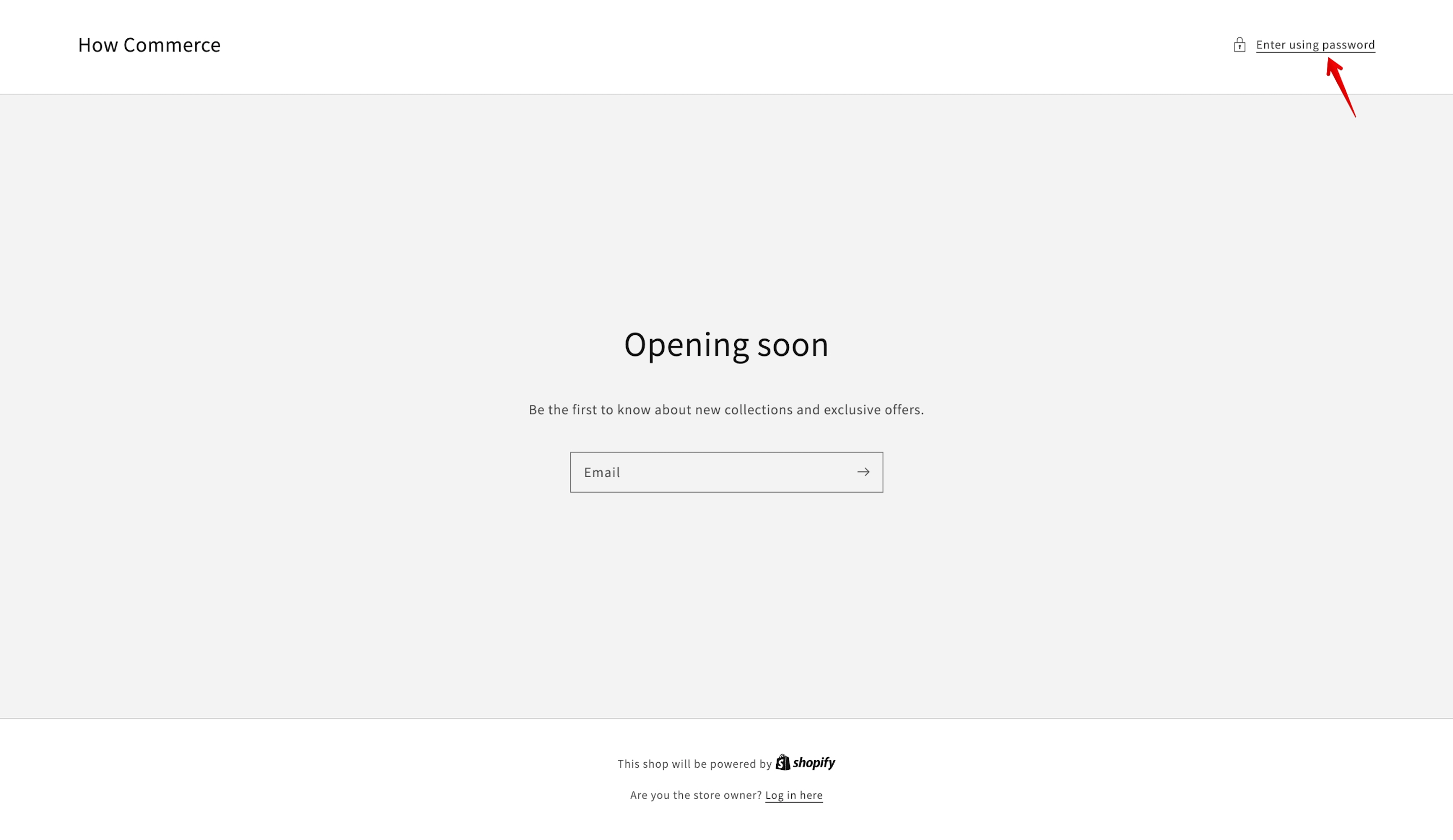 Shopify offline page on the Dawn theme