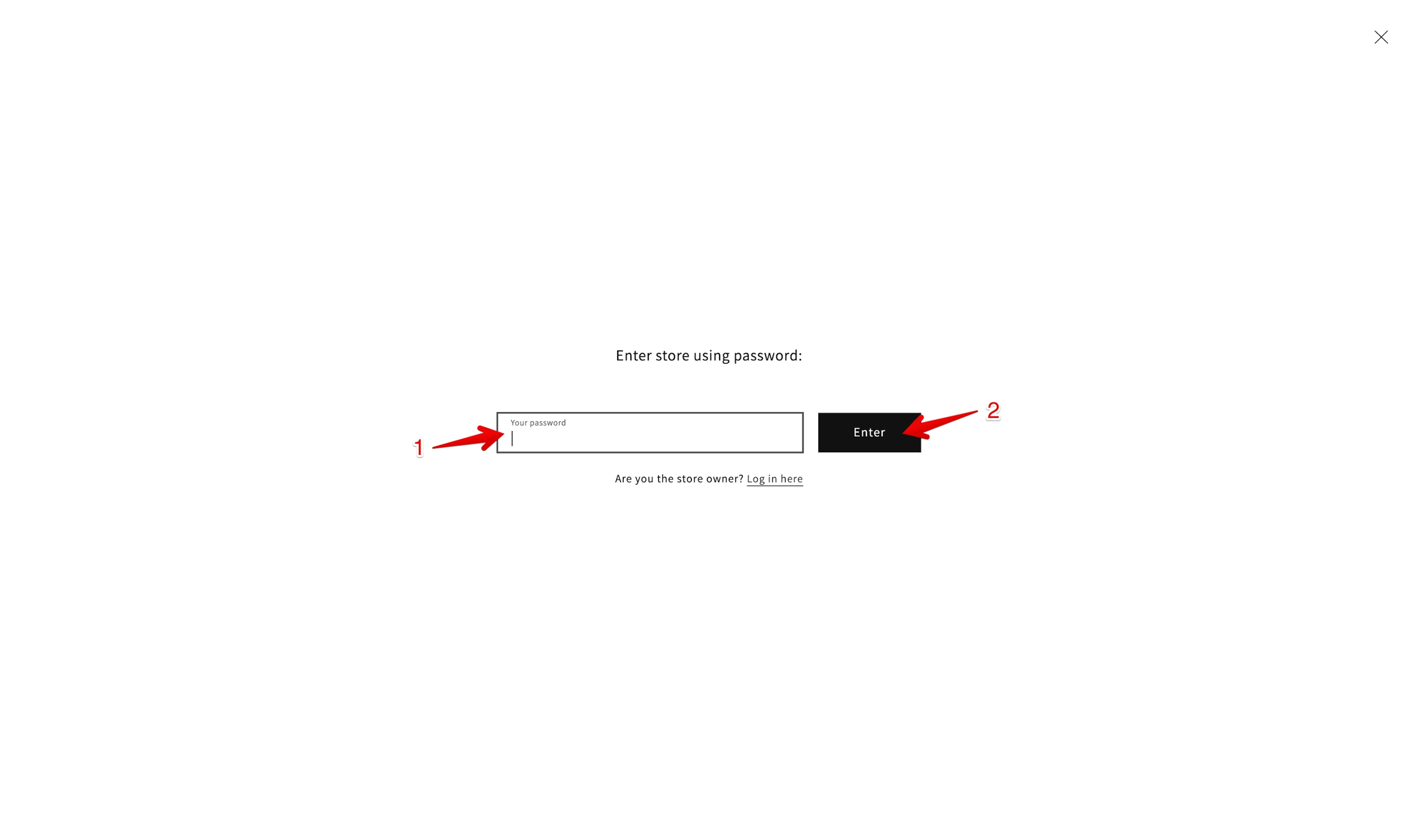 Shopify password page on the Dawn theme