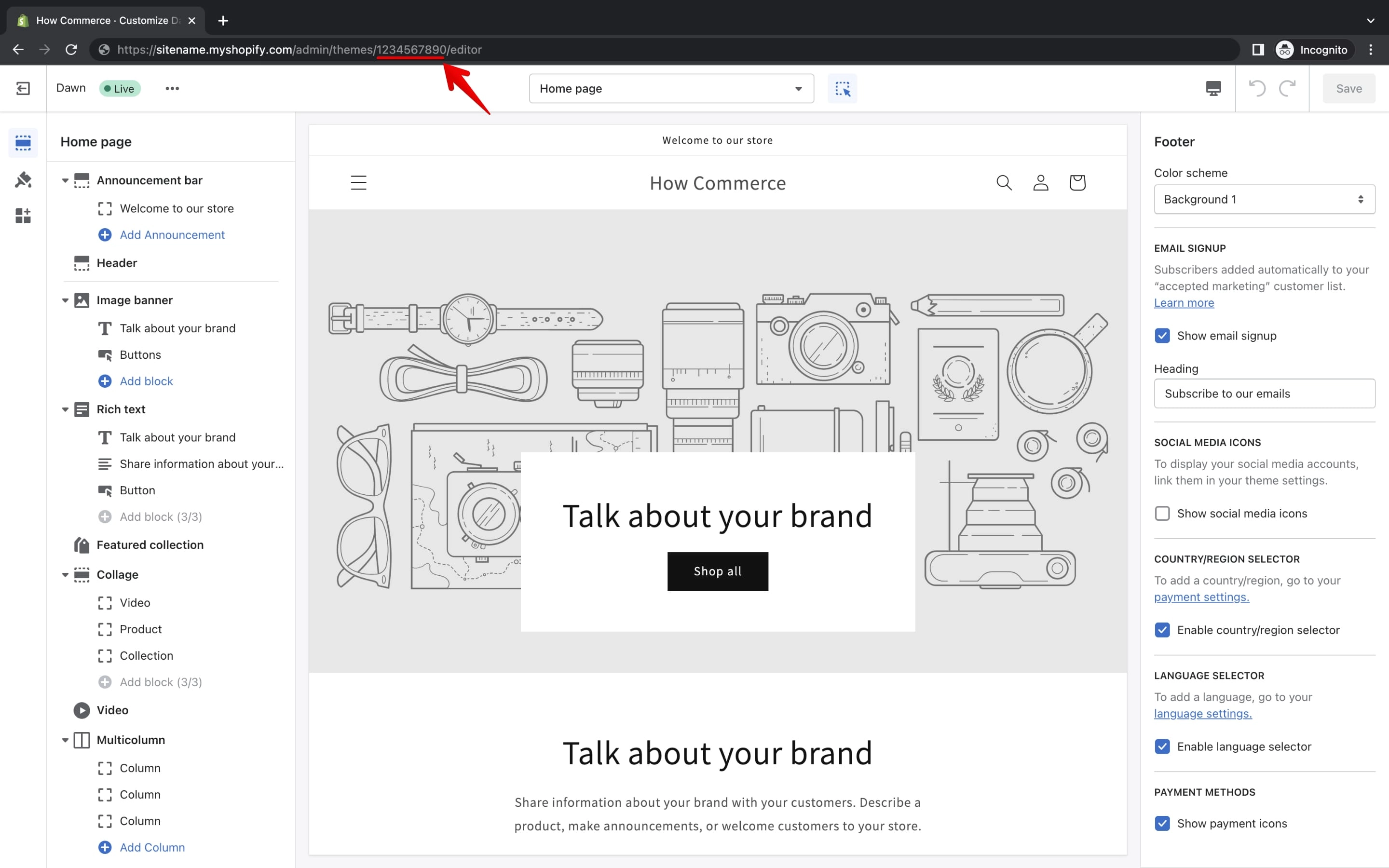 Shopify theme ID in browser