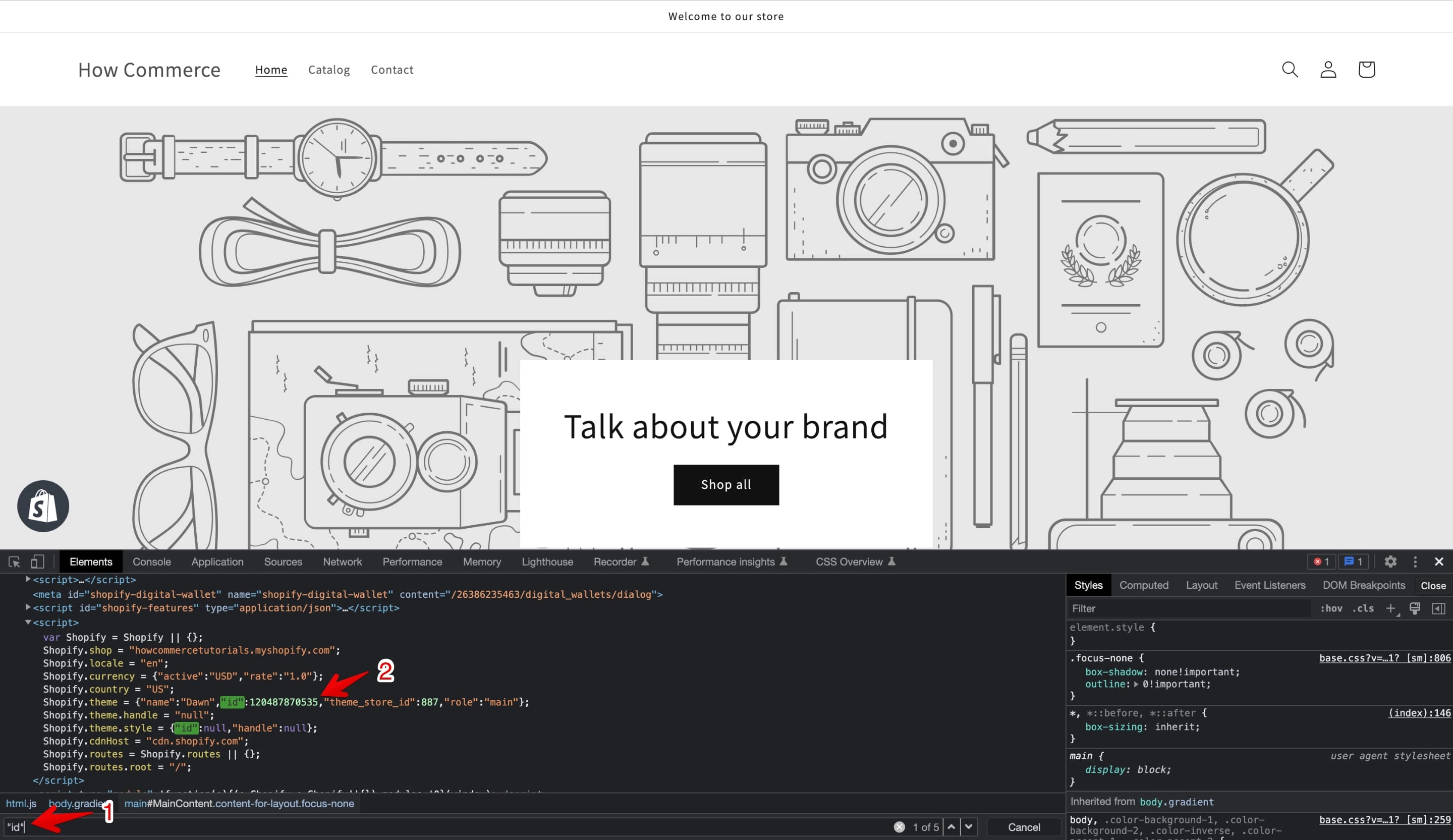 Shopify theme ID in Chrome Developer Tools