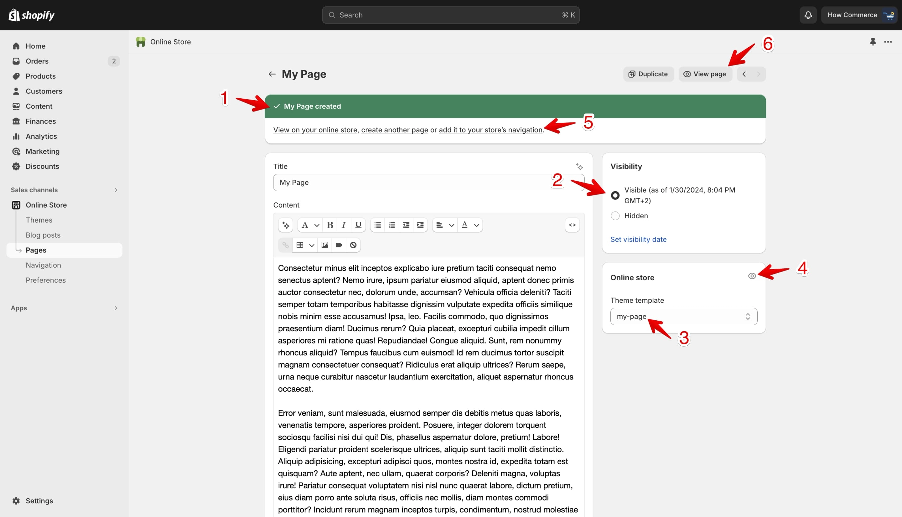 Shopify new page created