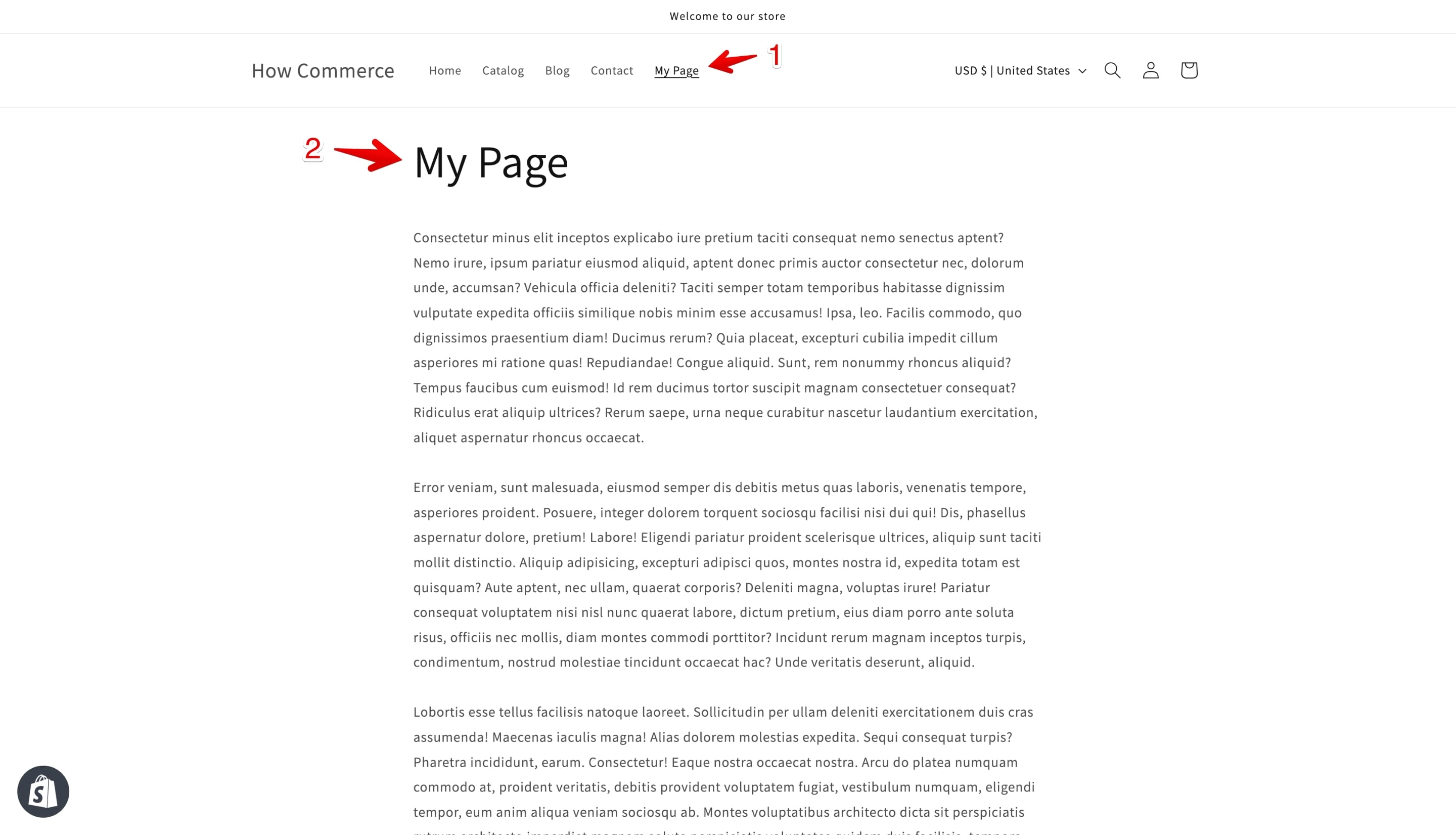 Shopify new page in storefront