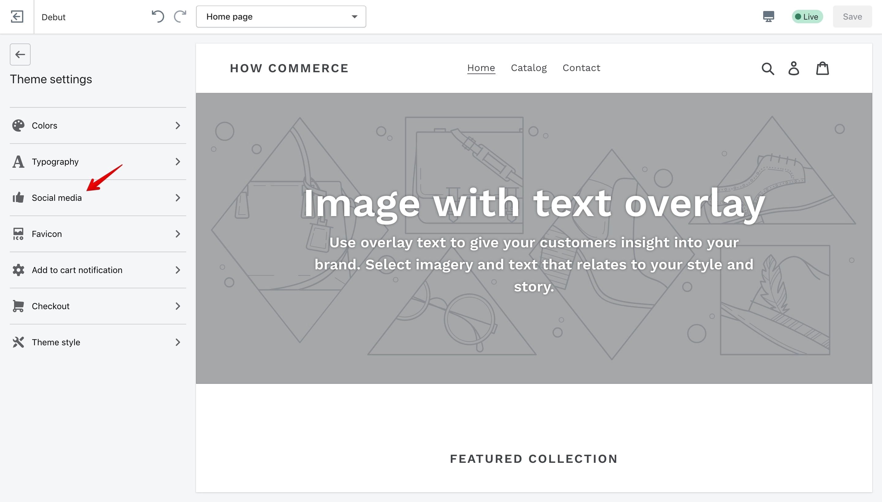 Debut theme social media settings section