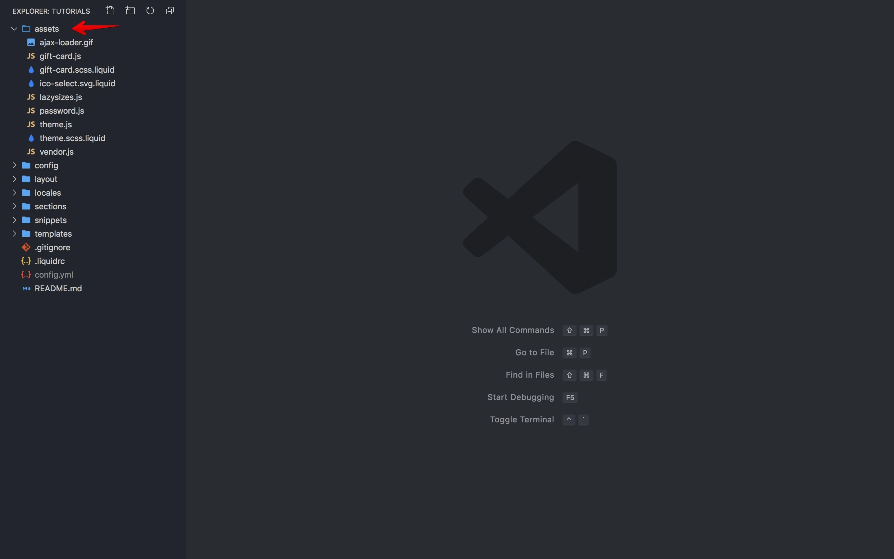 Debut theme assets folder.