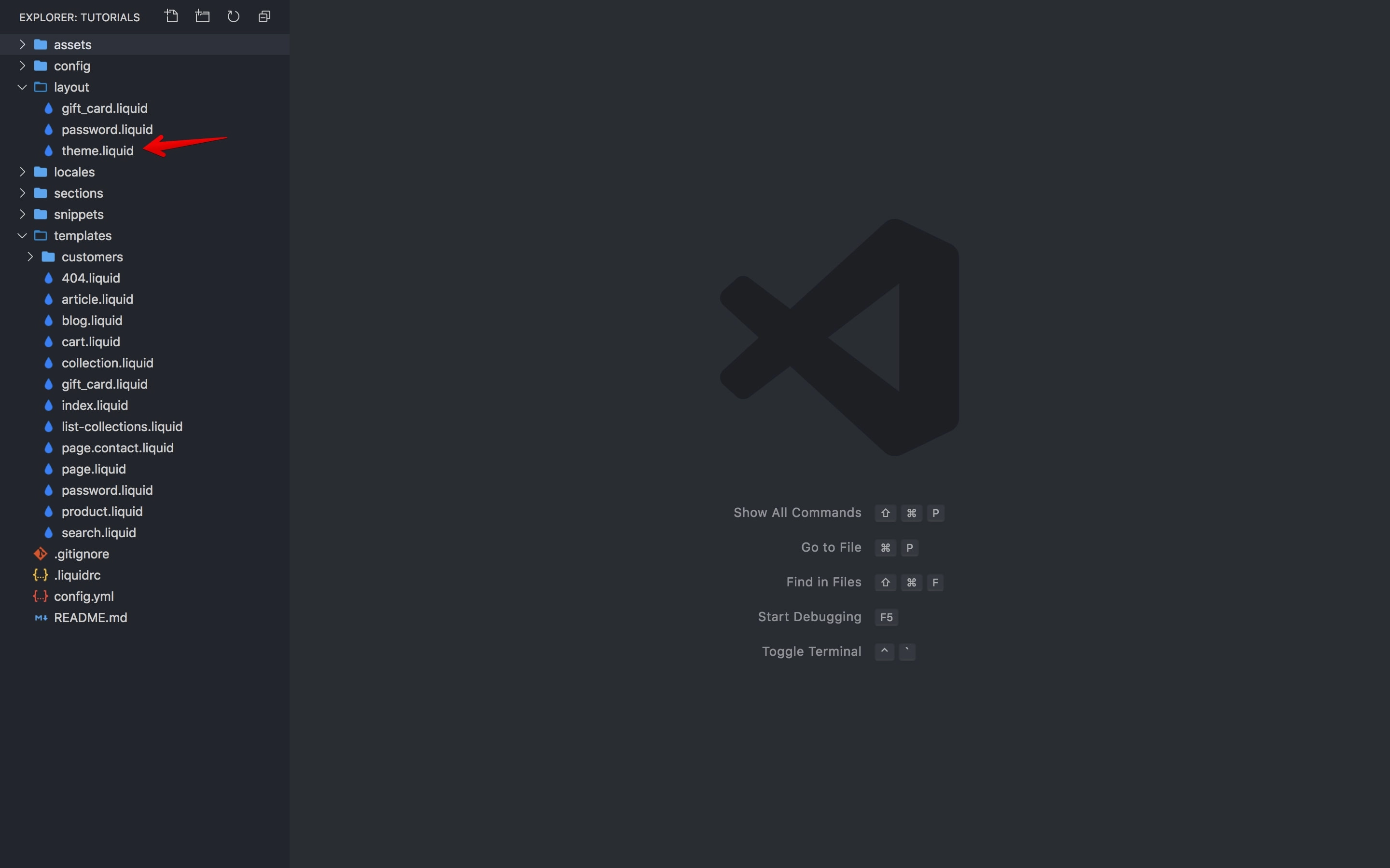 The theme.liquid file.