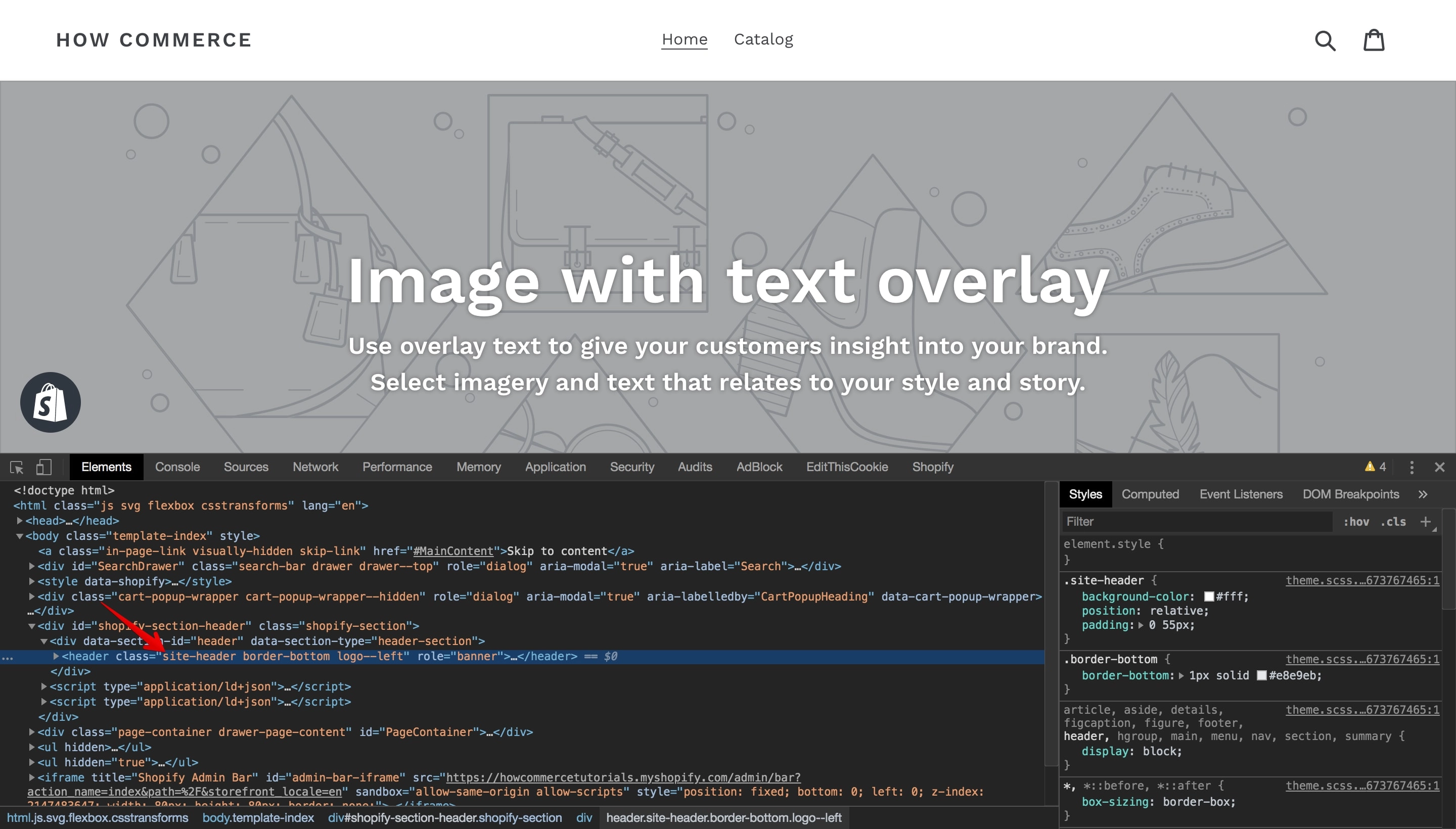 Debut theme header class .site-header.