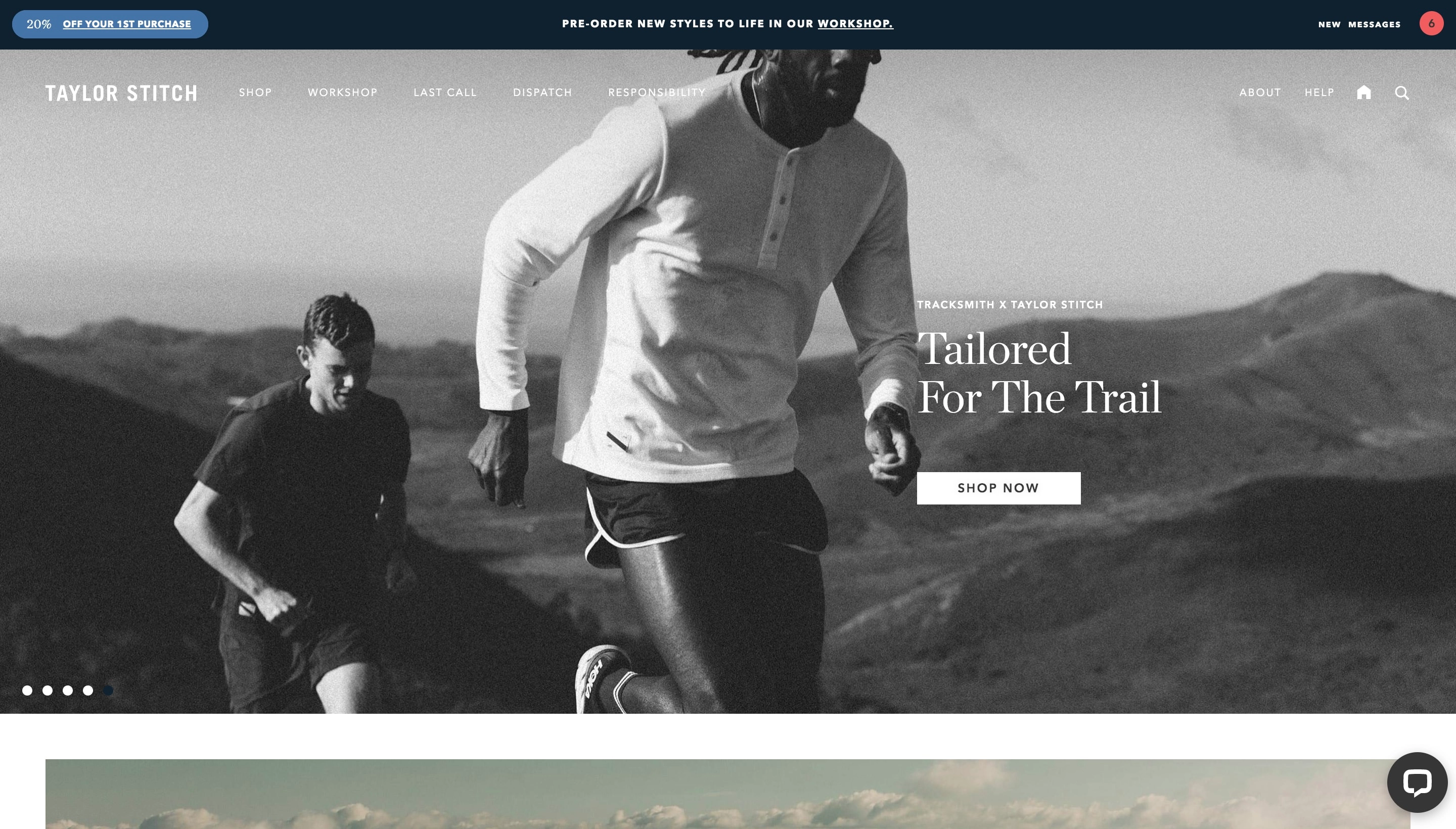 Taylor Stitch Shopify store screenshot